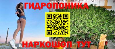 дмт Кимры