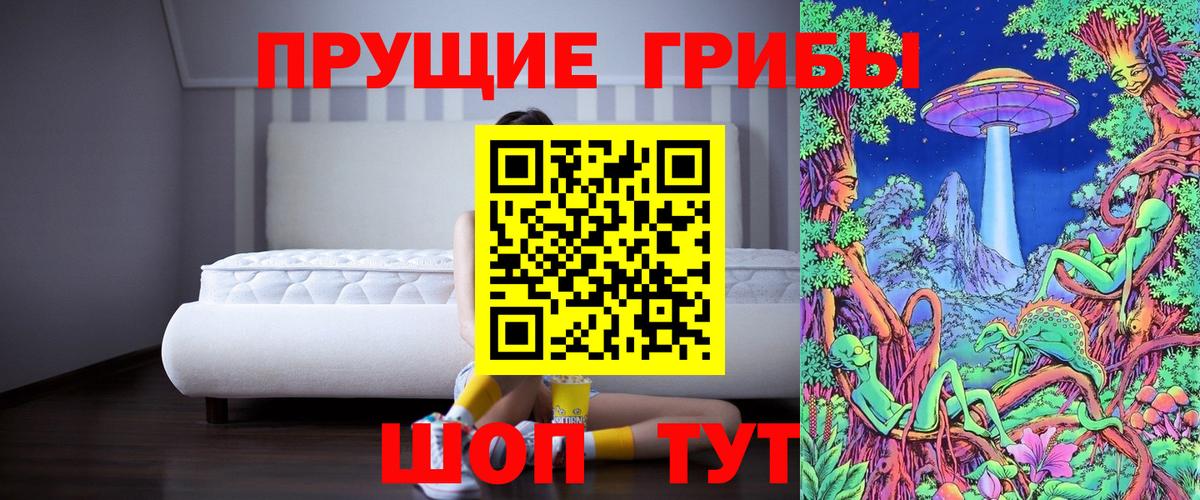 Псилоцибиновые грибы прущие грибы Иваново