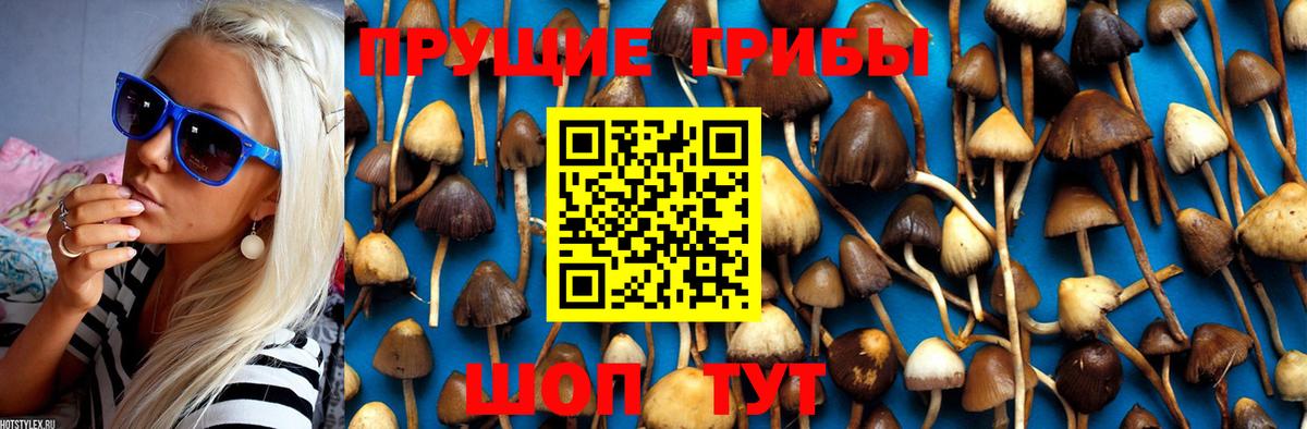 Галлюциногенные грибы MAGIC MUSHROOMS  где купить наркотик  Иваново  Вход с VPN 
